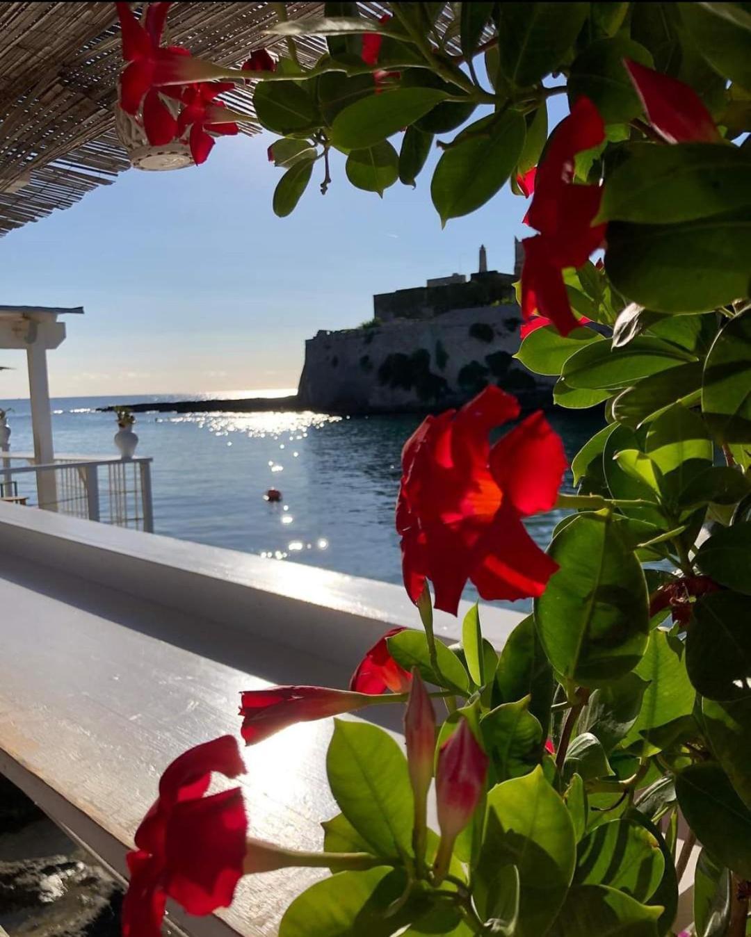 Casa Carlotta Villa Monopoli Luaran gambar